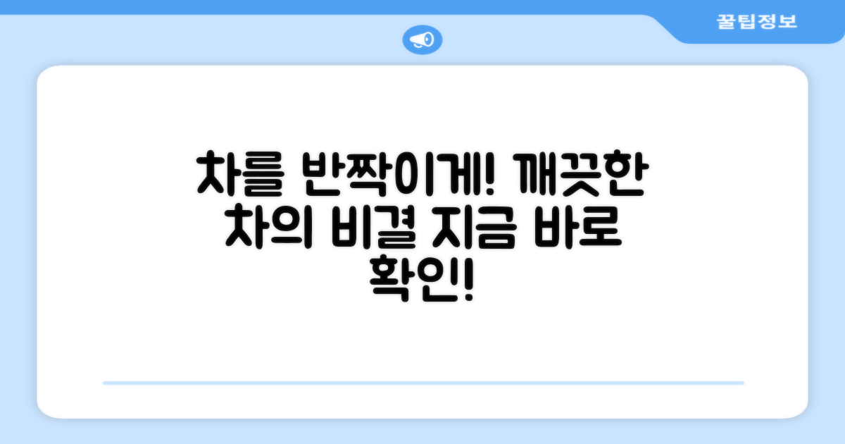 당신의 차를 깨끗이 닦으세요!