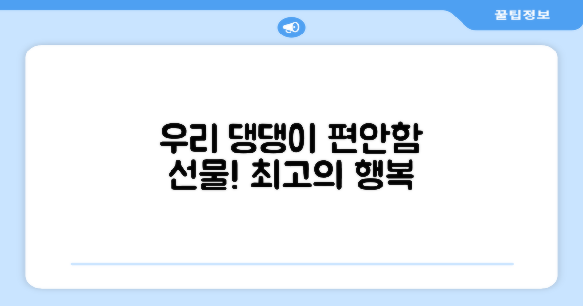 우리 댕댕이 편안함을 선물하세요!