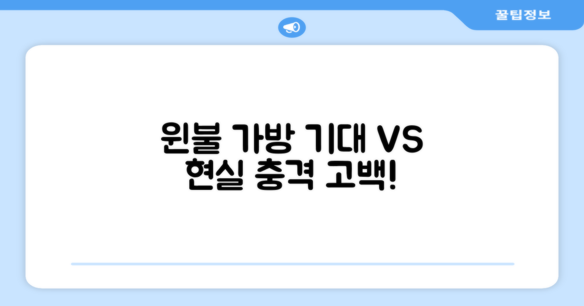 윈불 가방, 기대 vs 현실