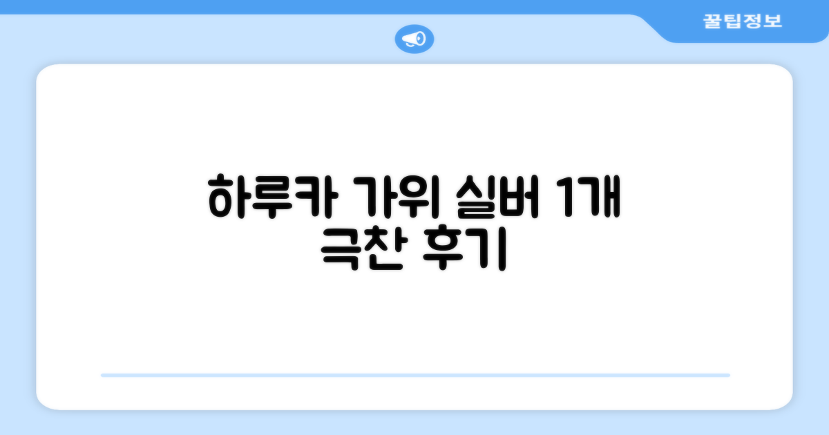 하루카 미용가위 세트, 실버, 1개 추천 리뷰