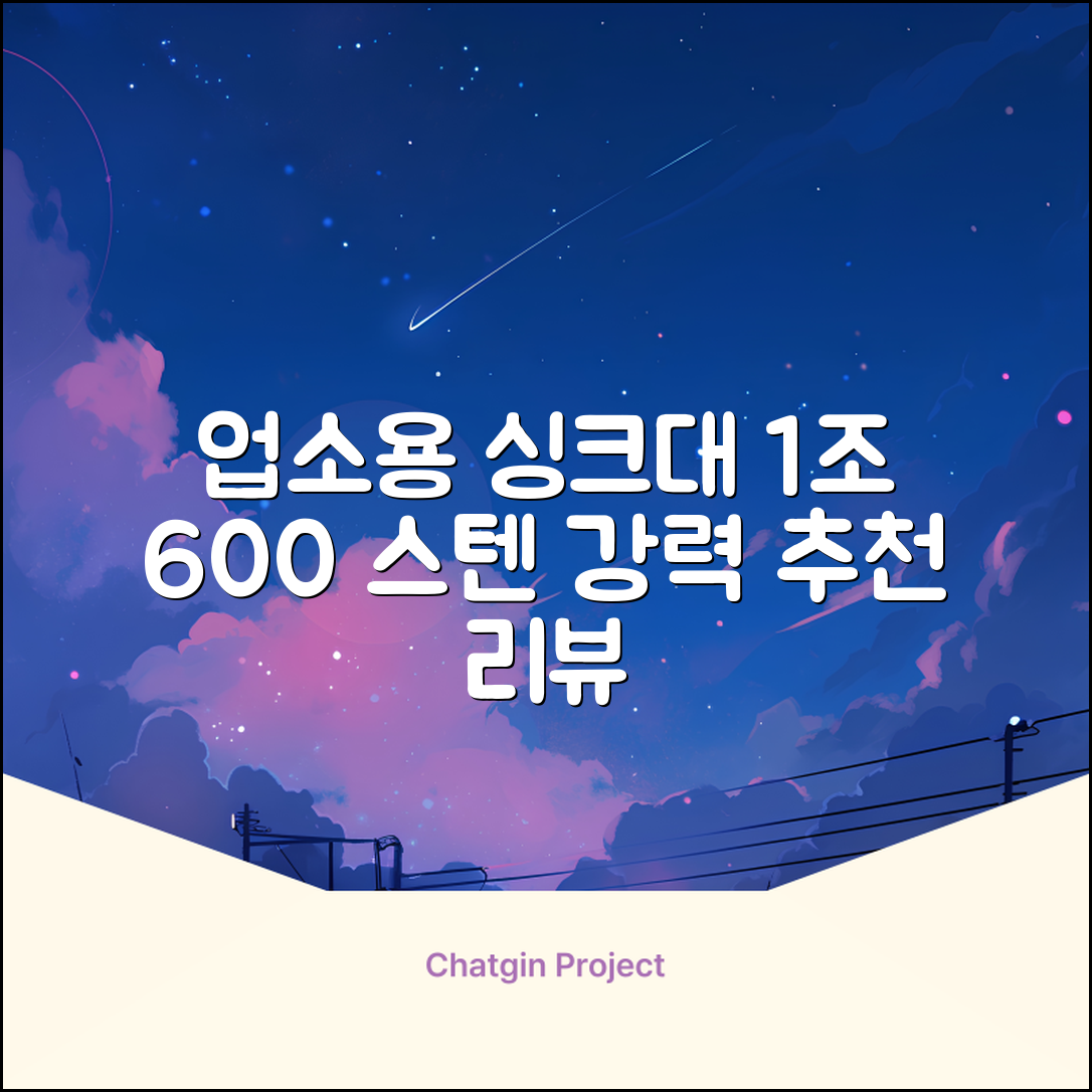 업소용싱크대 1조 600 업소용개수대 스텐싱크대 주방싱크대, 1조 600*600*800 추천 리뷰