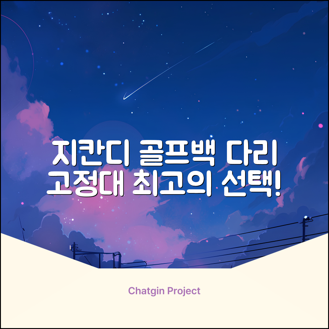 지칸디 골프 스탠드백 레그홀더 다리고정 바닥 지지대, 블랙 추천 리뷰