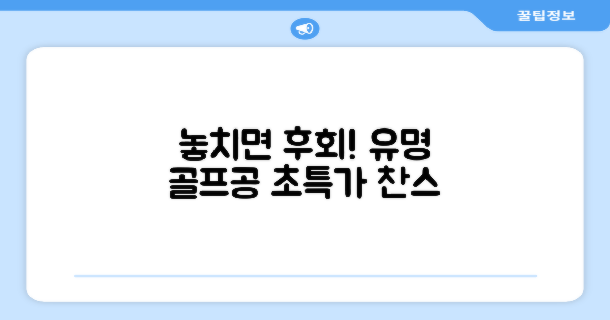 유명 브랜드 골프공, 놓치지 마세요