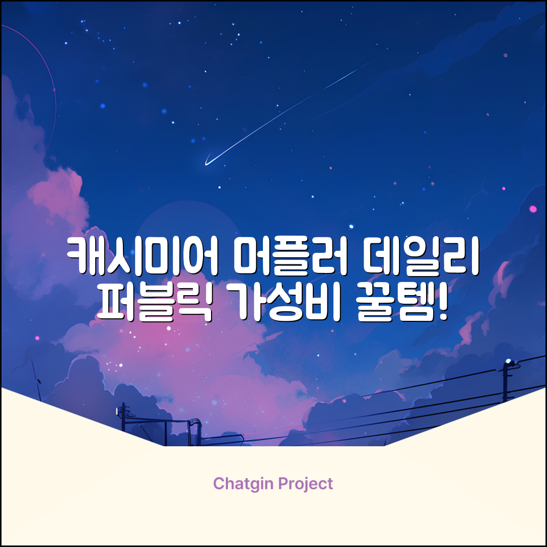 데일리퍼블릭 롱 캐시미어 머플러 목도리 넥워머 추천 리뷰