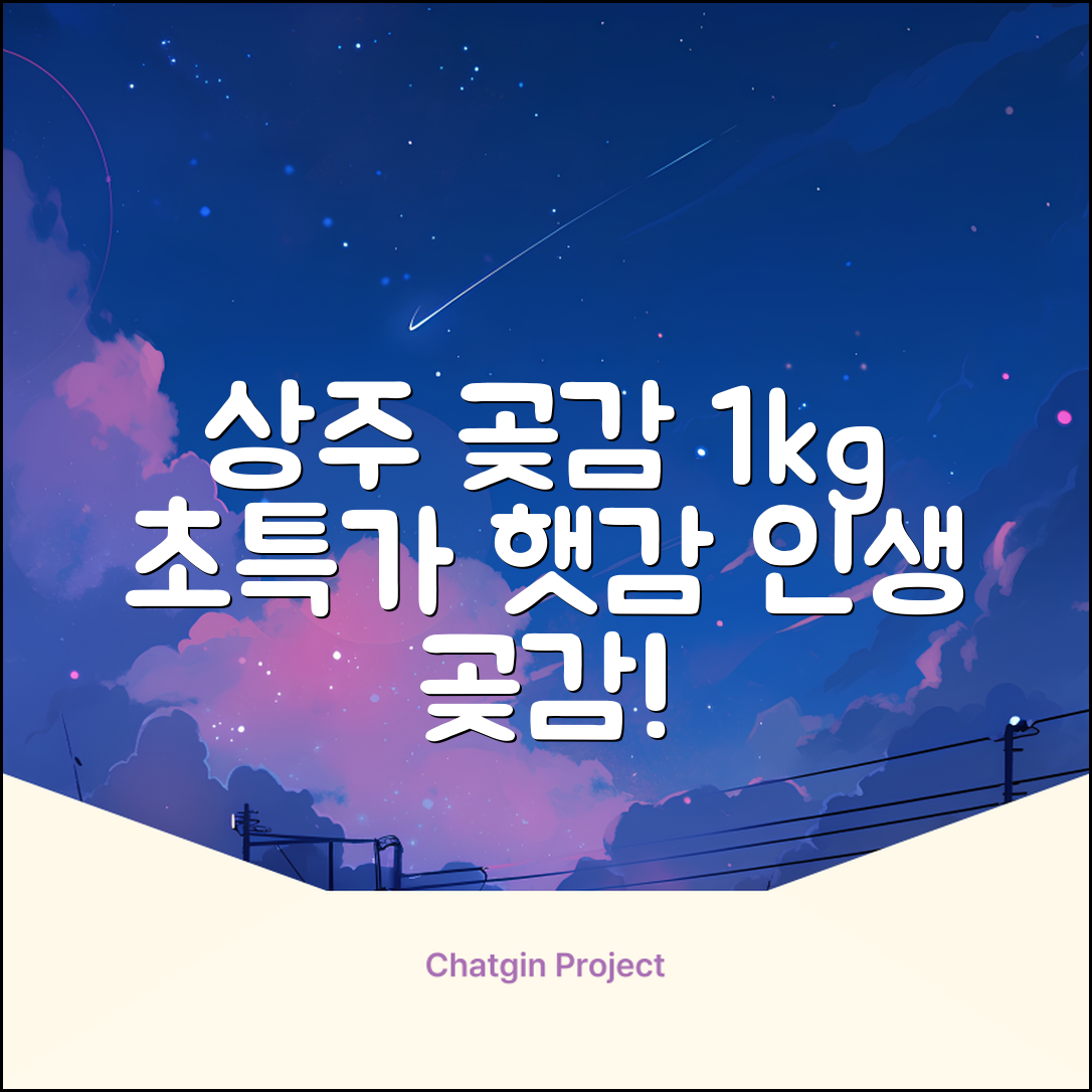 상주 곶감 초특가 1kg 고당도 햇감, 1개 추천 리뷰