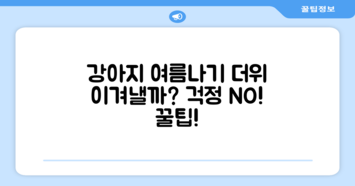 우리 강아지, 더위 잘 이겨낼까?