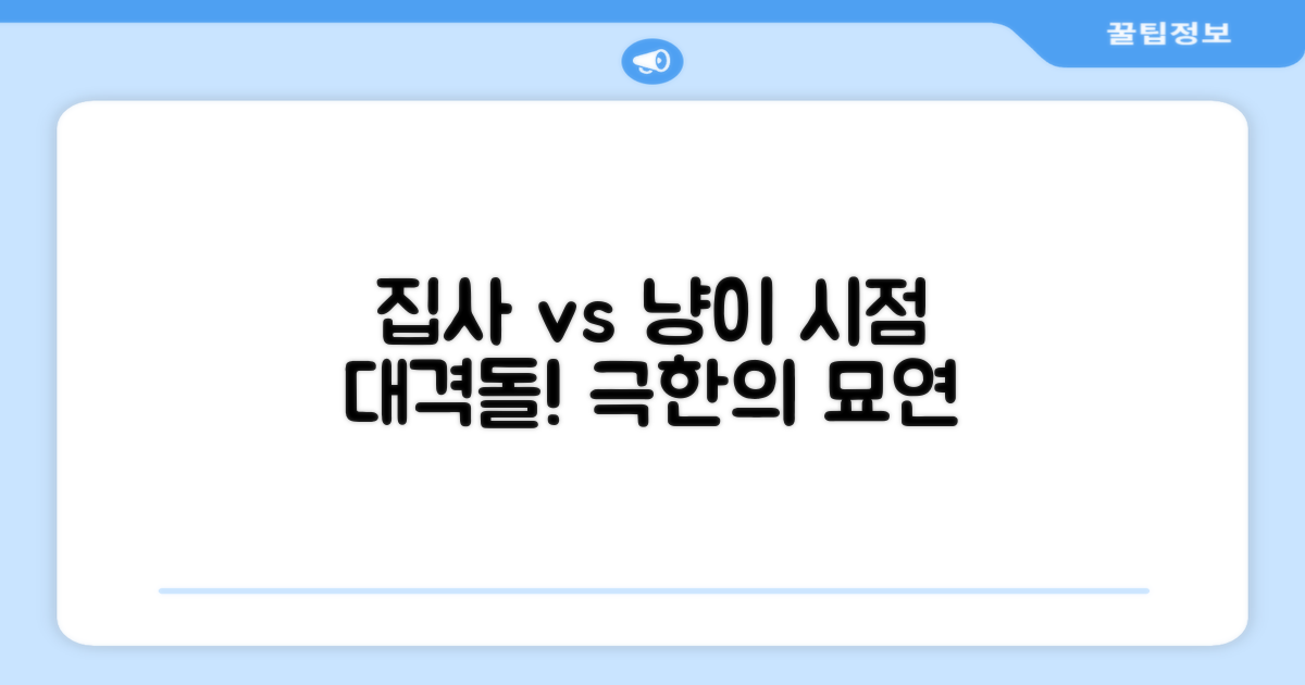 집사 vs 냥이 시점