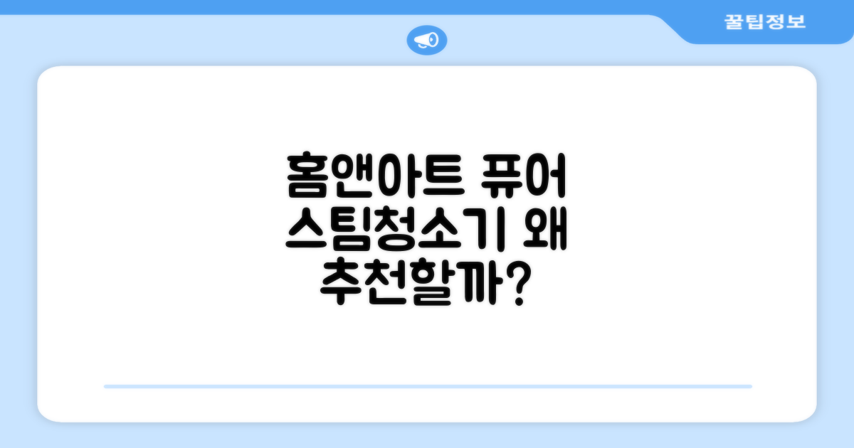 홈앤아트 퓨어 스팀청소기, 왜 추천할까?