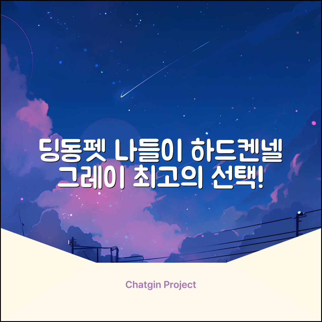 딩동펫 반려동물 나들이 하드켄넬, 그레이, 1개 추천 리뷰