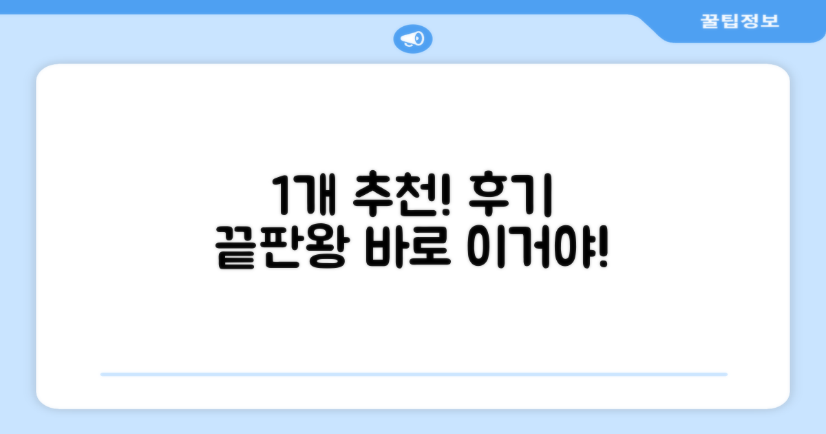 1개 추천! 사용 후기