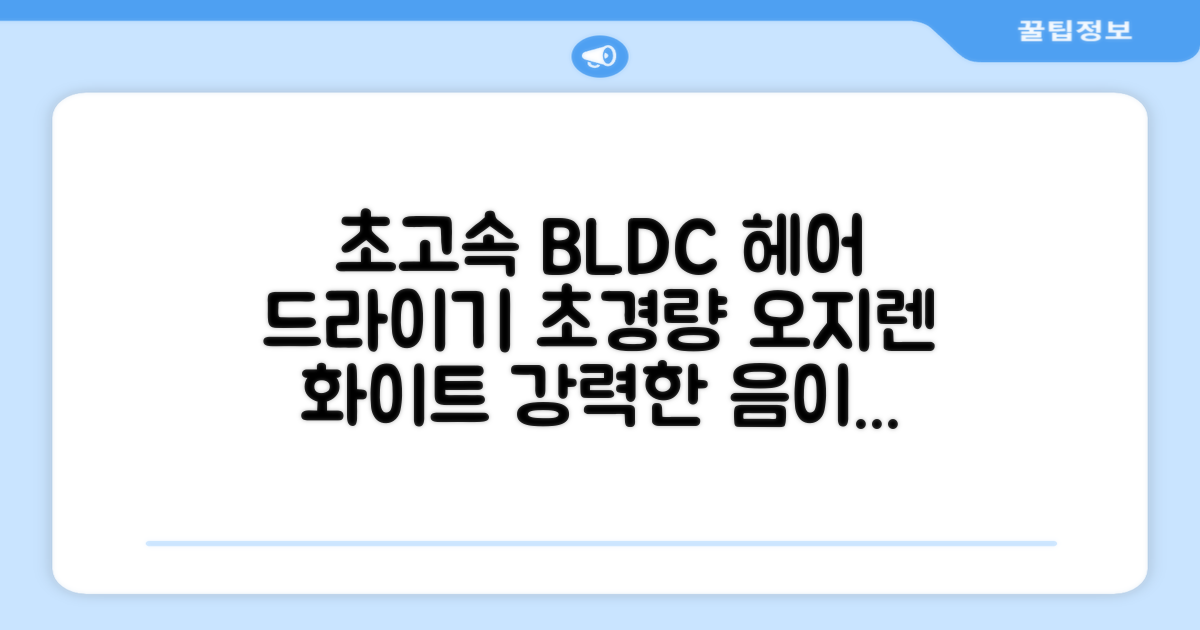 오지렌 초고속 고출력 초경량 음이온 BLDC 모터 헤어 드라이기, 화이트 추천 리뷰