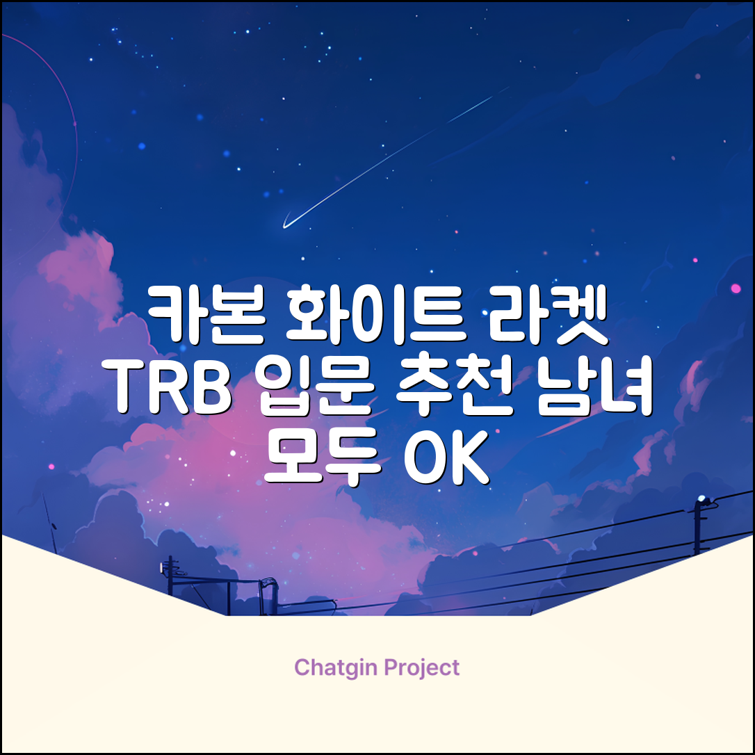 티알비 입문용 테니스라켓 여성 남자, 1개, 카본 화이트 추천 리뷰