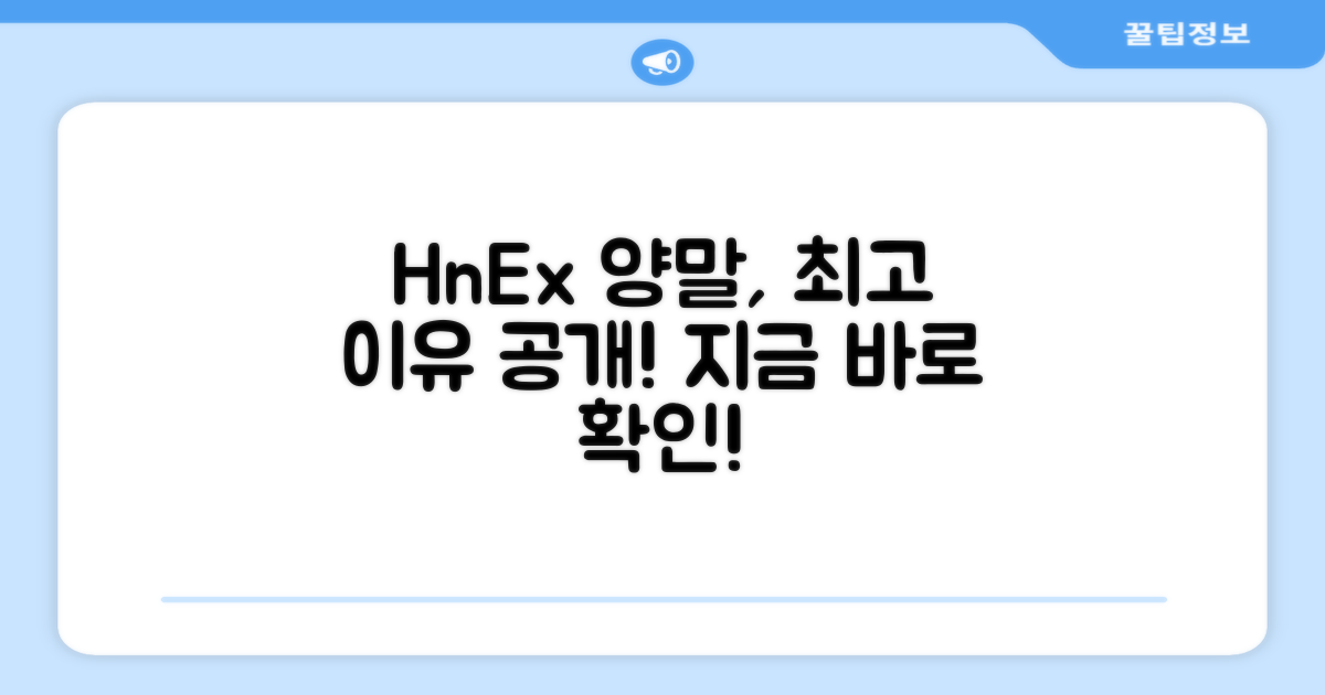 HnEx 양말, 왜 최고인지 확인해!