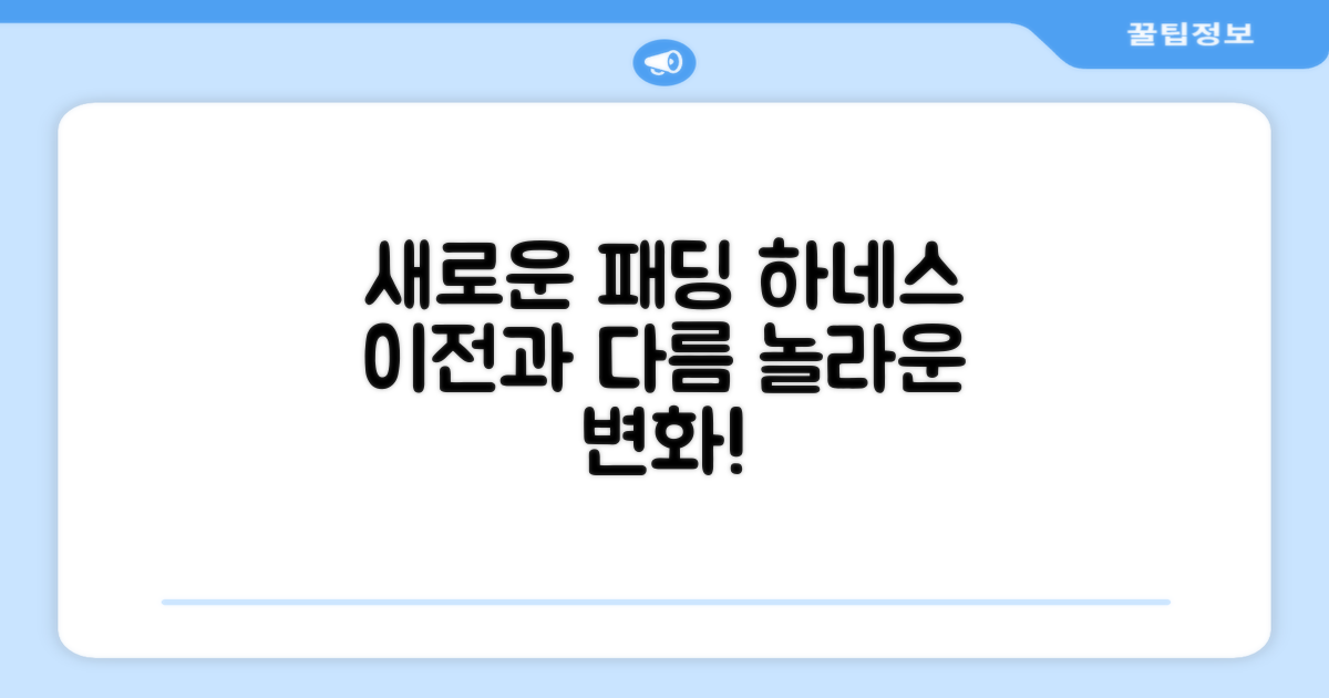 패딩 하네스, 이전과는 달라