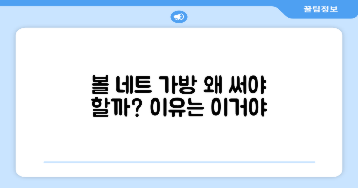 이 볼 네트 가방, 왜 선택해야 할까?