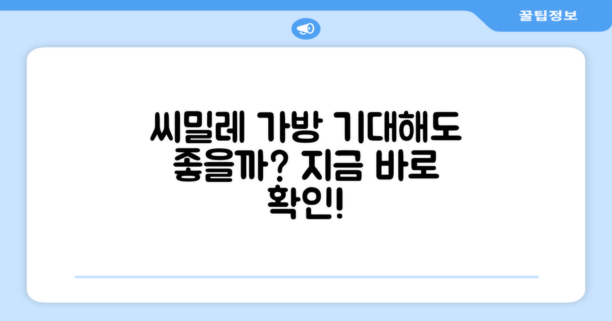 씨밀레 가방, 기대해도 좋을까?