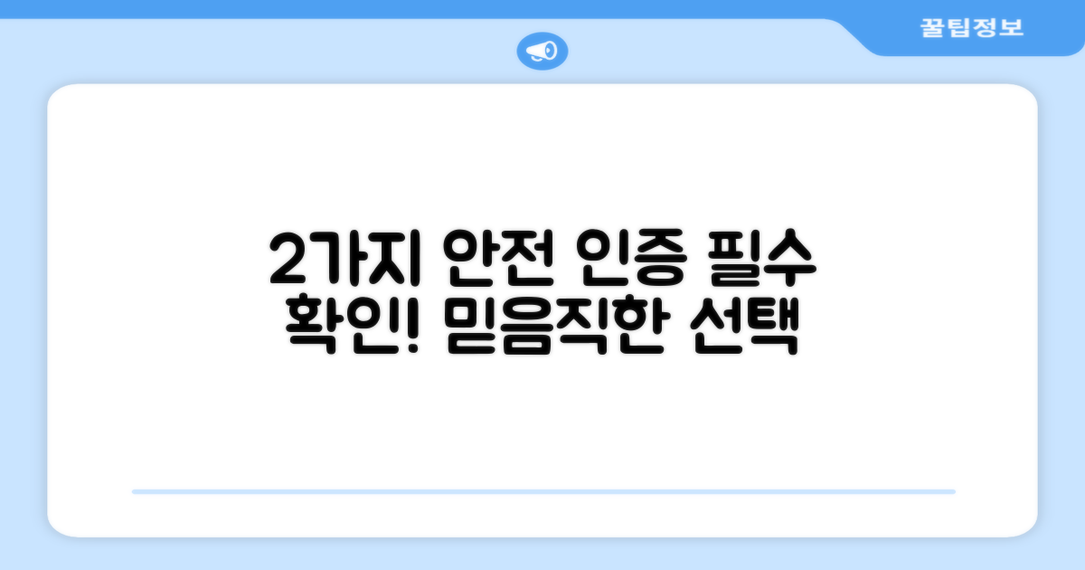 2가지 안전 인증