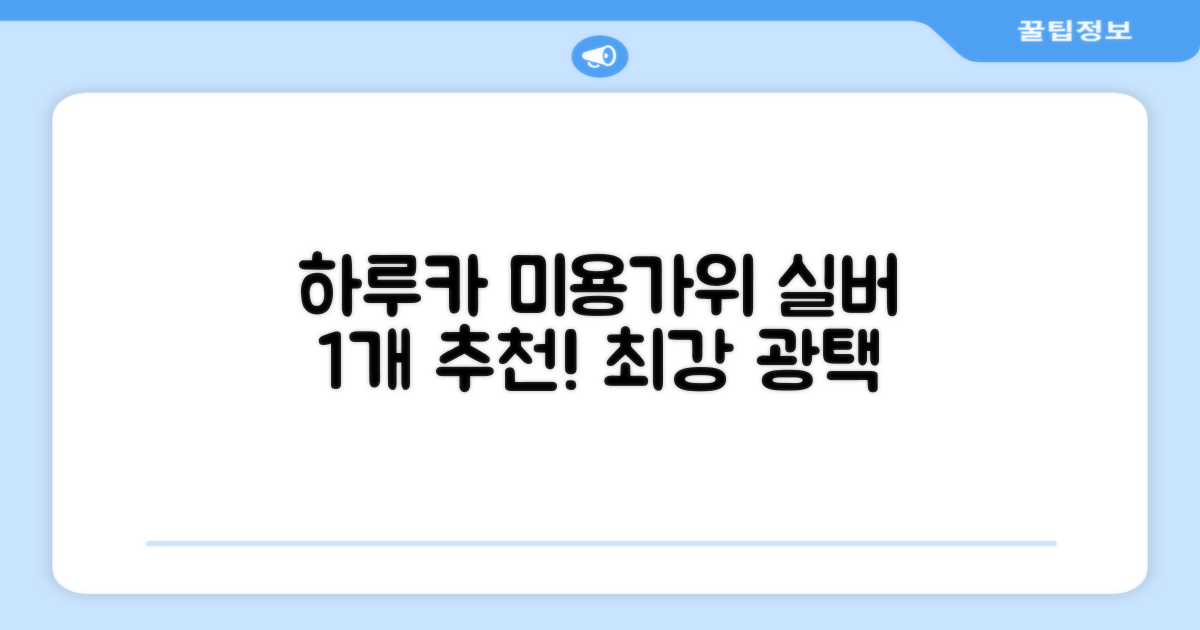 하루카 미용가위 세트, 실버, 1개 추천 리뷰