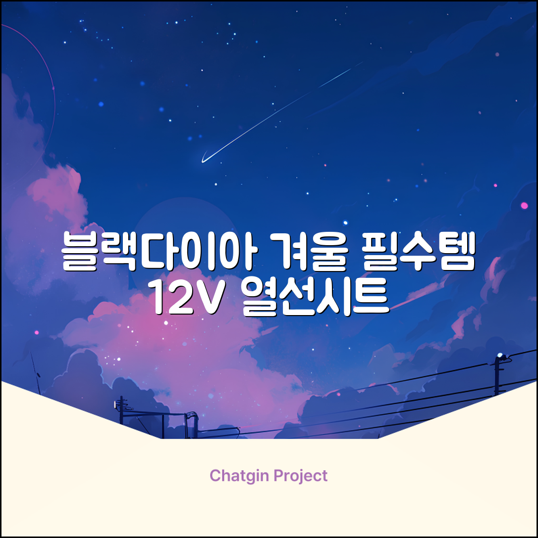 블랙다이아 차량용 열선시트 (1P) 털 겨울 히팅 전기시트, 1개, 12V (운전/조수석) 추천 리뷰