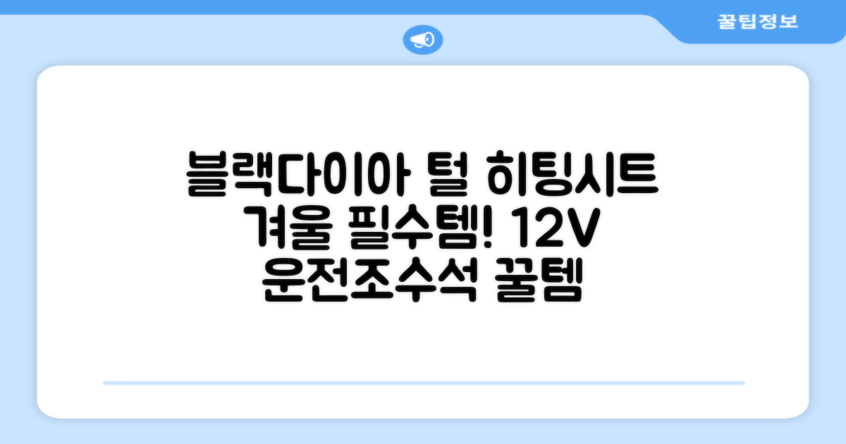 블랙다이아 차량용 열선시트 (1P) 털 겨울 히팅 전기시트, 1개, 12V (운전/조수석) 추천 리뷰
