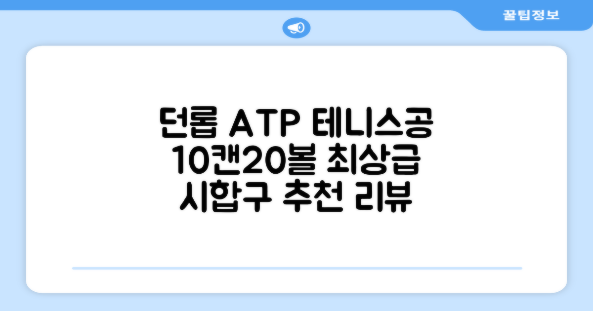 2025 던롭 ATP 테니스공 10캔 (20볼) 시합구, 던롭 ATP볼 10캔 (20볼), 10세트 추천 리뷰