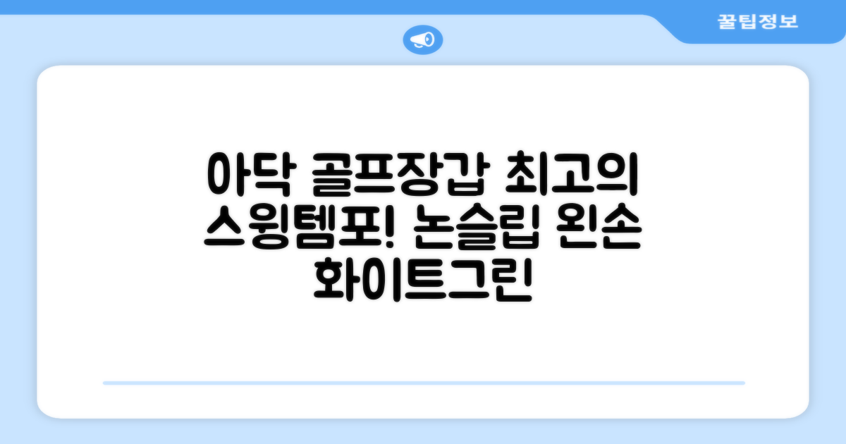 아닥 남성용 스윙템포칩 논슬립 골프장갑 왼손용, 화이트 + 그린, 1개 추천 리뷰