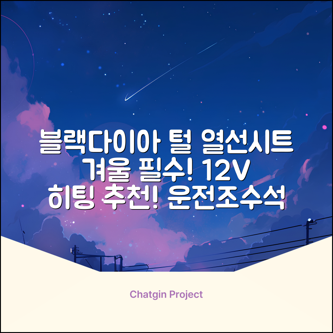 블랙다이아 차량용 열선시트 (1P) 털 겨울 히팅 전기시트, 1개, 12V (운전/조수석) 추천 리뷰