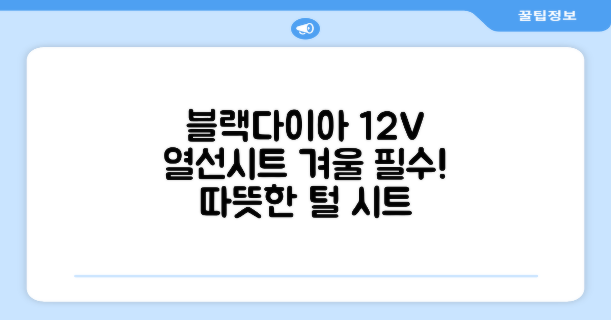 블랙다이아 차량용 열선시트 (1P) 털 겨울 히팅 전기시트, 1개, 12V (운전/조수석) 추천 리뷰