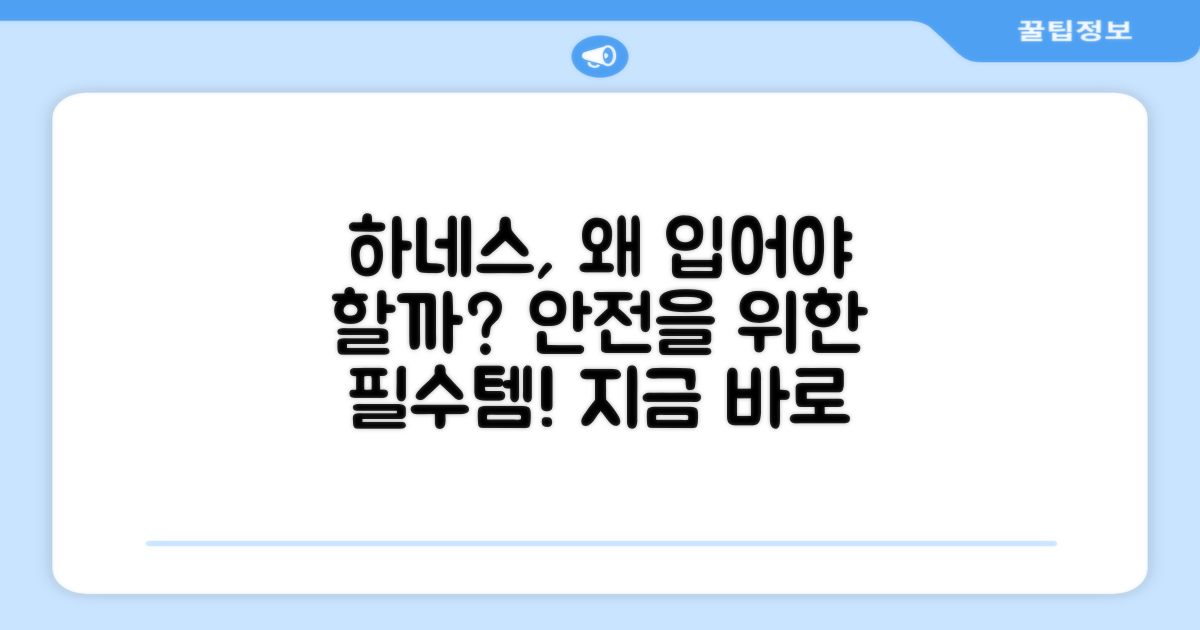 하네스가 왜 필요할까?