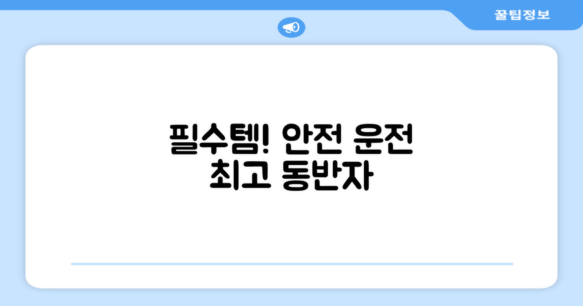 필수템, 안전 운전 동반자