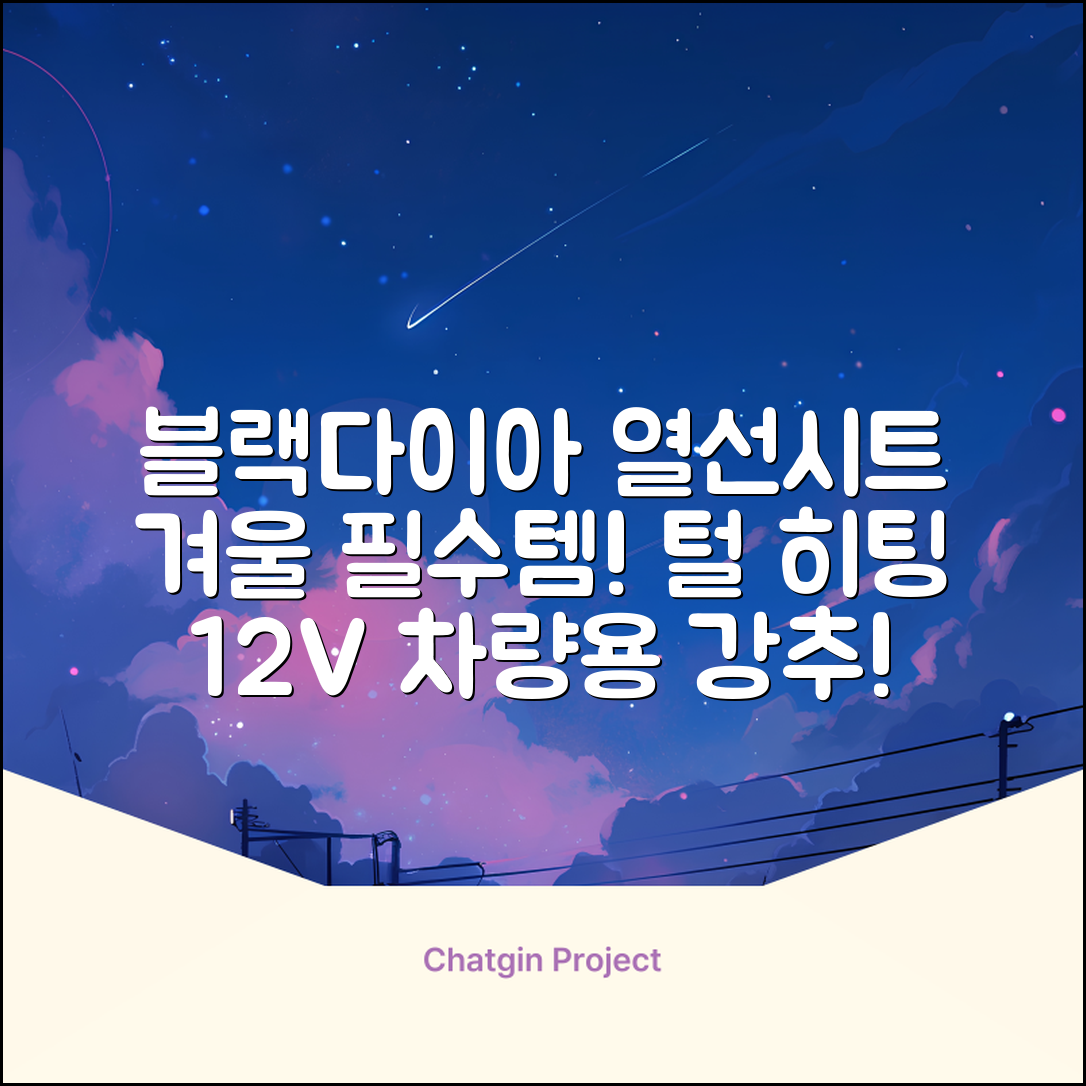블랙다이아 차량용 열선시트 (1P) 털 겨울 히팅 전기시트, 1개, 12V (운전/조수석) 추천 리뷰