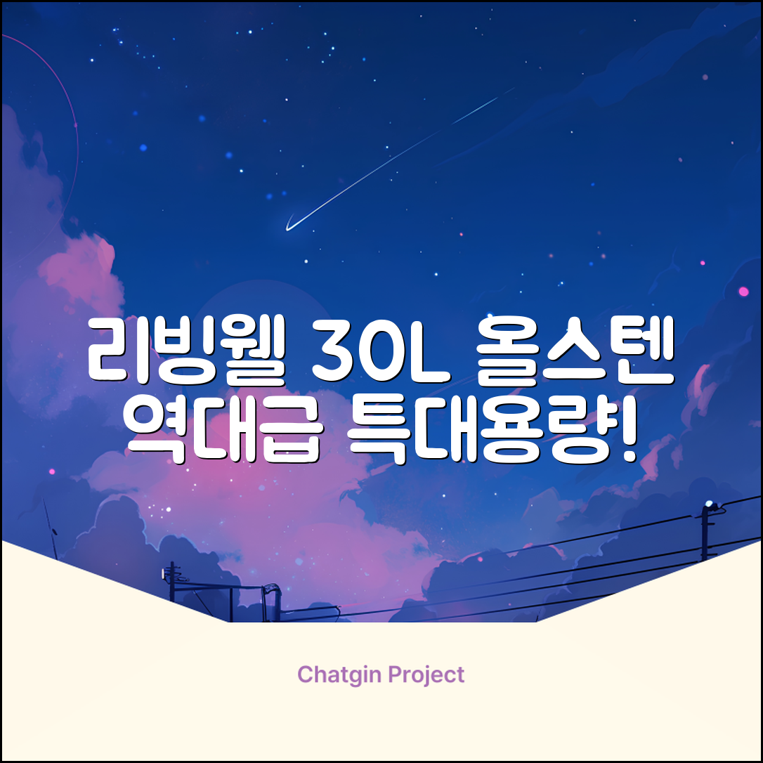 [최신형]리빙웰 30L 특대용량 신제품 올스텐 에어프라이어 AF300 추천 리뷰
