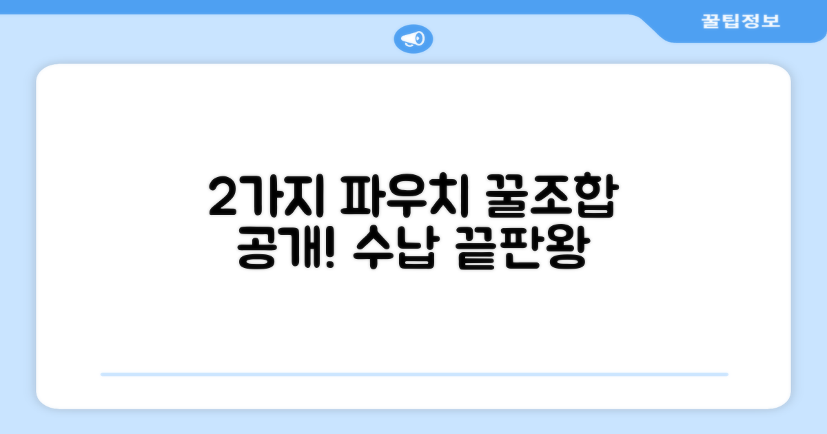 2가지 파우치 활용