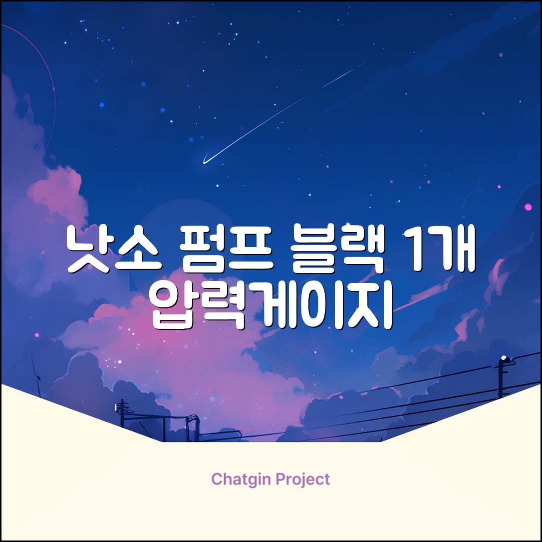 낫소 양방향 압력게이지 펌프, 블랙, 1개 추천 리뷰