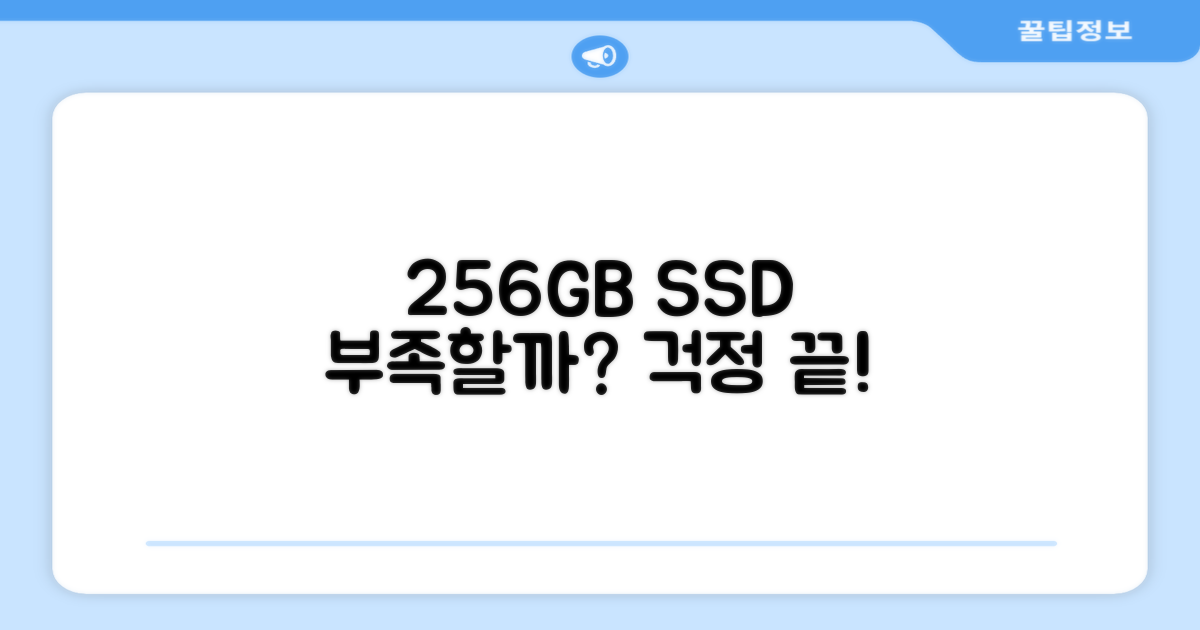 256GB SSD, 저장 공간은 부족하지 않을까?